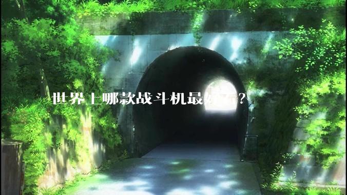 世界上哪款战斗机最好看？