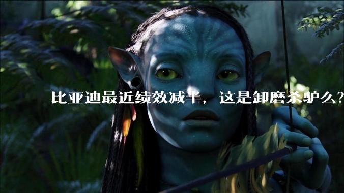 比亚迪最近绩效减半，这是卸磨杀驴么？